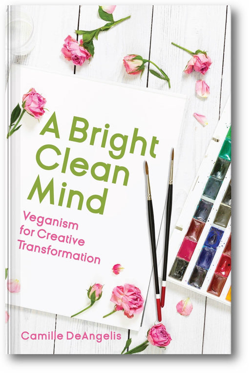 A Bright Clean Mind book cover