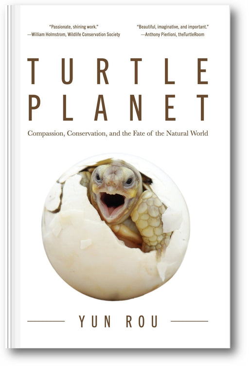 Turtle Planet book cover