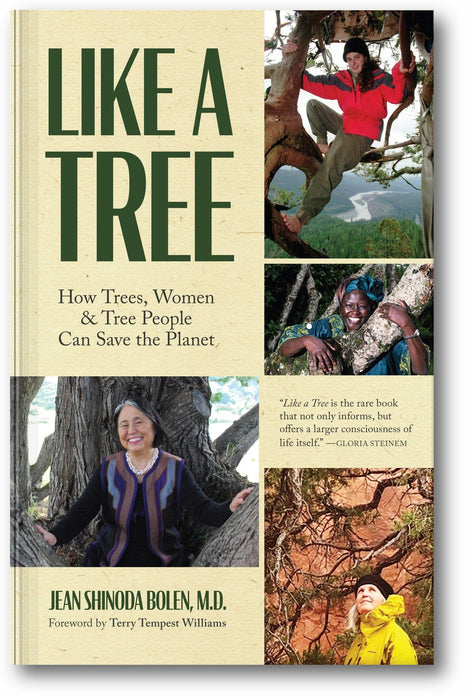 Like a Tree: How Trees, Women, and Tree People Can Save the Planet book cover