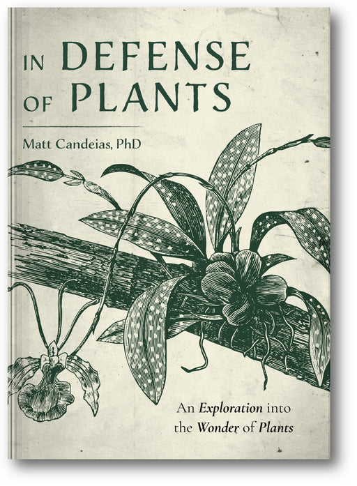 In Defense of Plants: An Exploration into the Wonder of Plants book cover