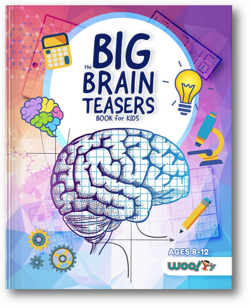 The Big Brain Teasers Book for Kids book cover