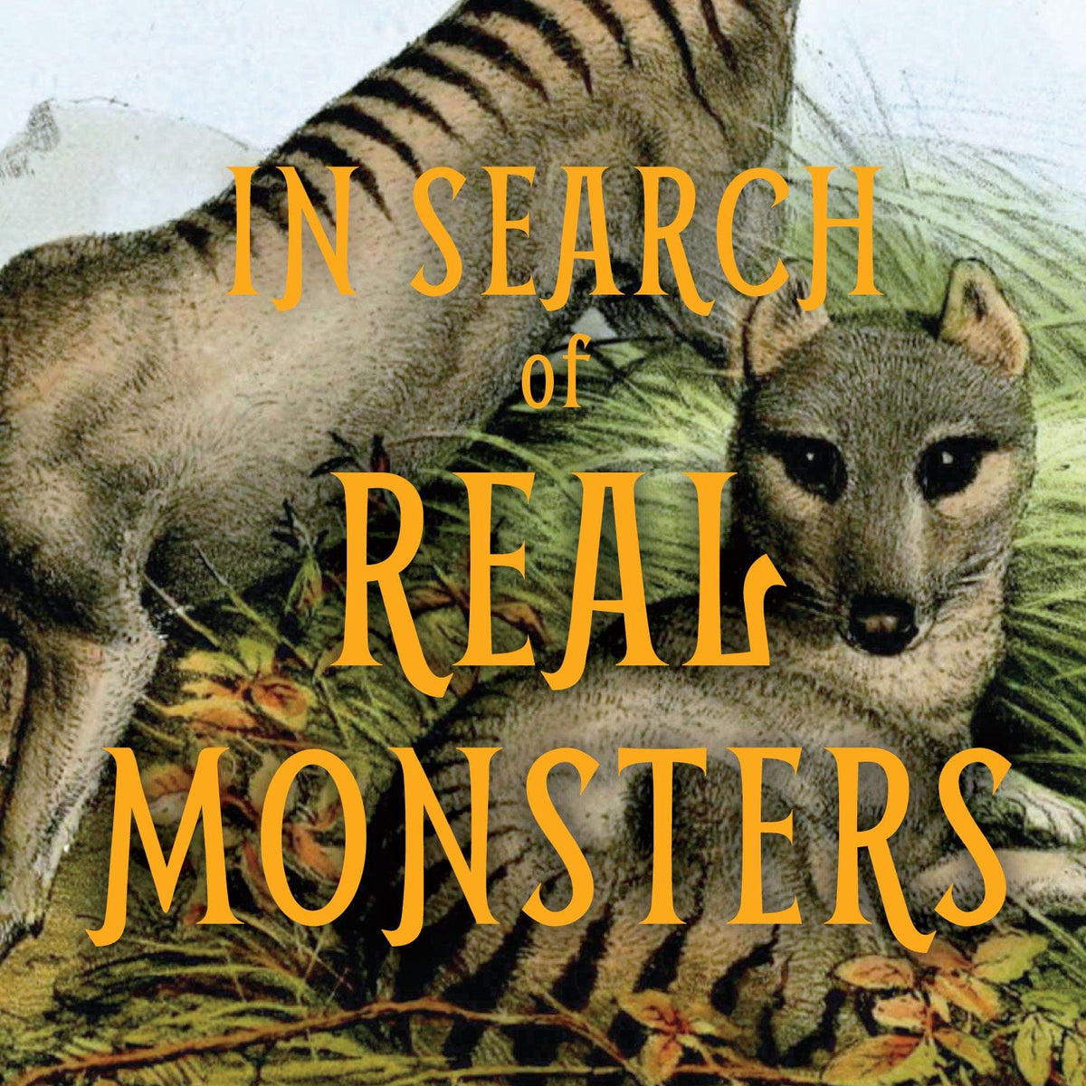 in search of monsters In Search of Real Monsters: Adventures in Cryptozoology Volume 2 — Turner  Publishing