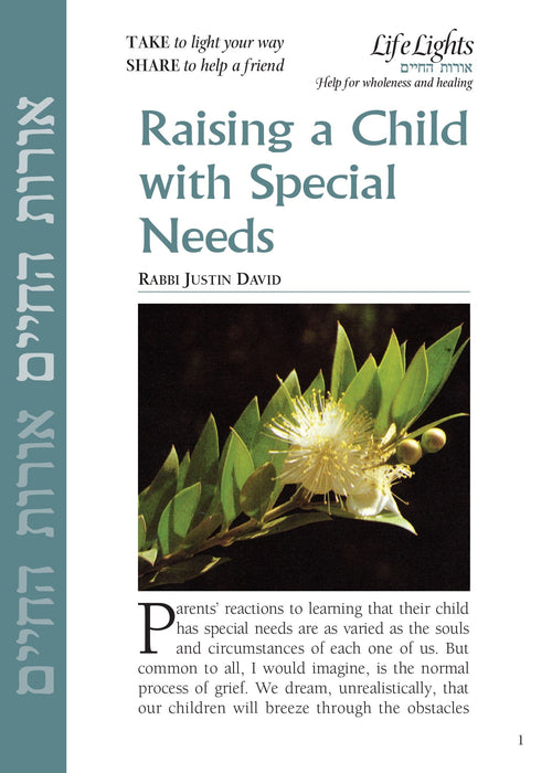 Raising a Child with Special Needs (12 pk)
