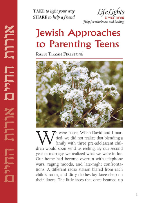 Jewish Approaches to Parenting Teens (12 pk)
