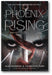 Phoenix Rising: The Last Warlord Chronicles, 1 book cover