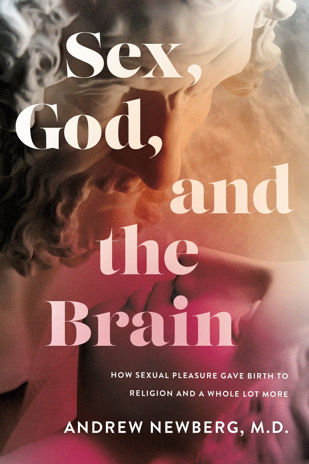 Sex, God, and the Brain: How Sexual Pleasure Gave Birth to Religion an —  Turner Publishing