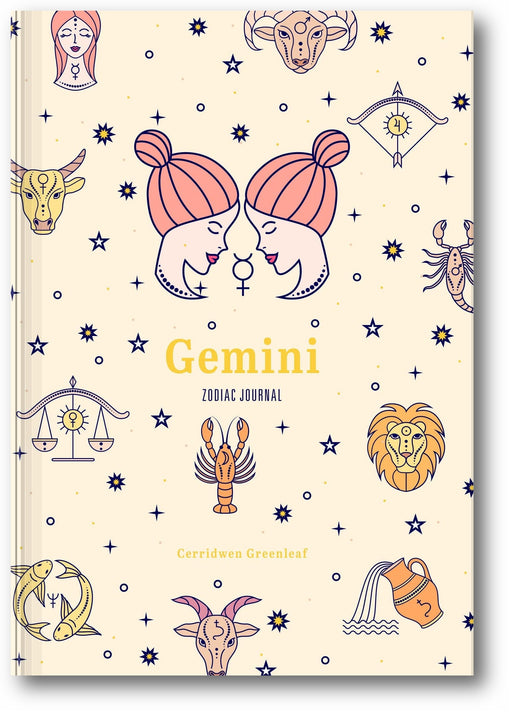 Gemini Zodiac Journal book cover