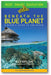Reef Smart Guides Beneath the Blue Planet book cover