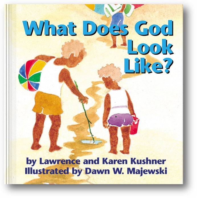 What Does God Look Like? book cover