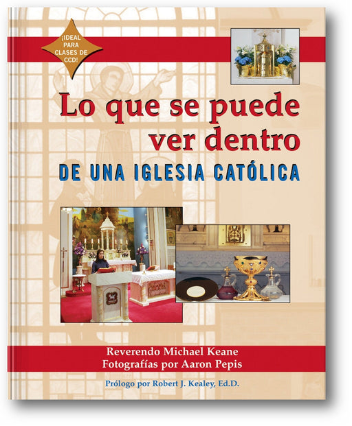 Lo que se Puede Ver Dentro de una iglesia Catolica book cover