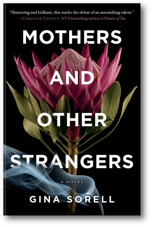 Mothers and Other Strangers book cover