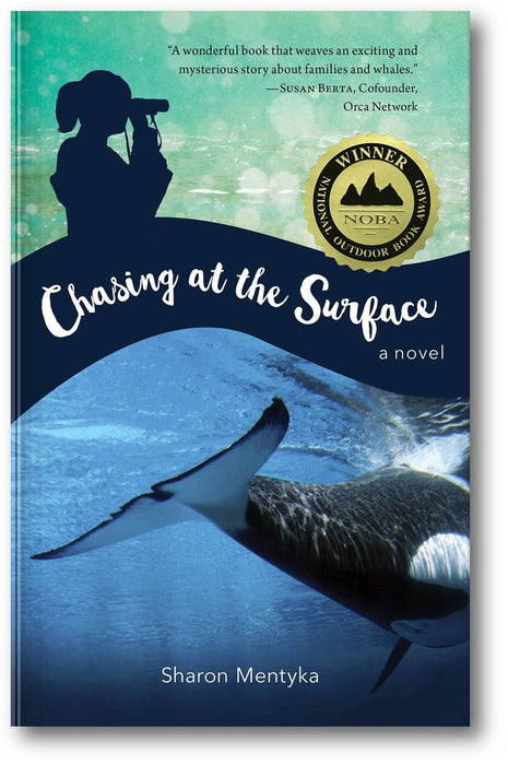 Chasing at the Surface book cover