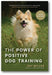 The Power of Positive Dog Training, 3rd Edition book cover