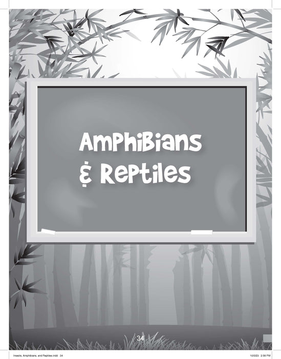 The Drawing Book for Kids: Amphibians - Step by Step with Space to Practice
