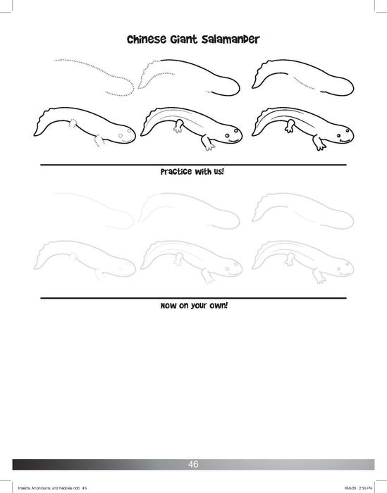 The Drawing Book for Kids: Amphibians - Step by Step with Space to Practice