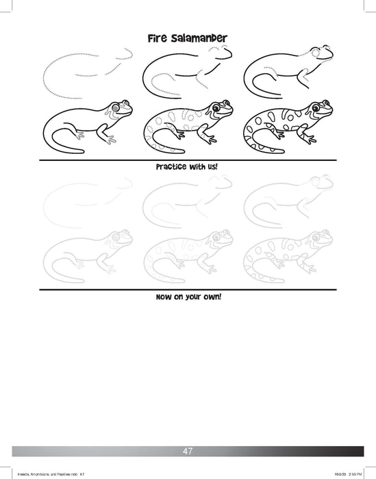 The Drawing Book for Kids: Amphibians - Step by Step with Space to Practice