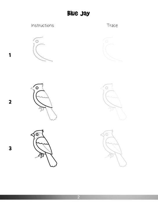 The Drawing Book for Kids: Birds - Step by Step with Space to Practice