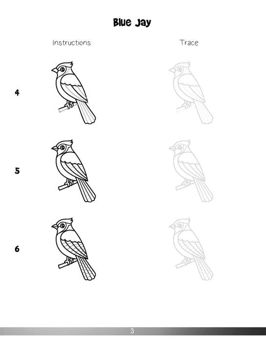 The Drawing Book for Kids: Birds - Step by Step with Space to Practice