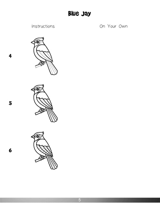 The Drawing Book for Kids: Birds - Step by Step with Space to Practice