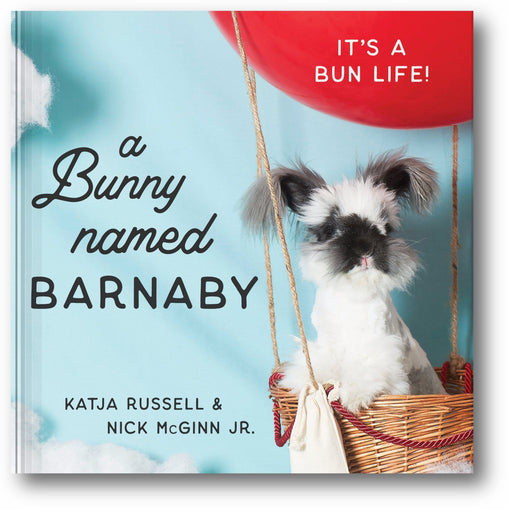 A Bunny Named Barnaby: It's a Bun Life book cover