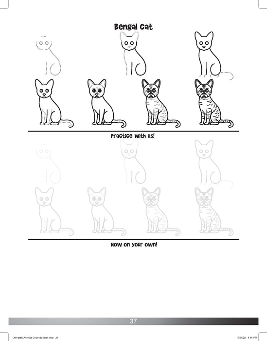 The Drawing Book for Kids: Cats - Step by Step with Space to Practice