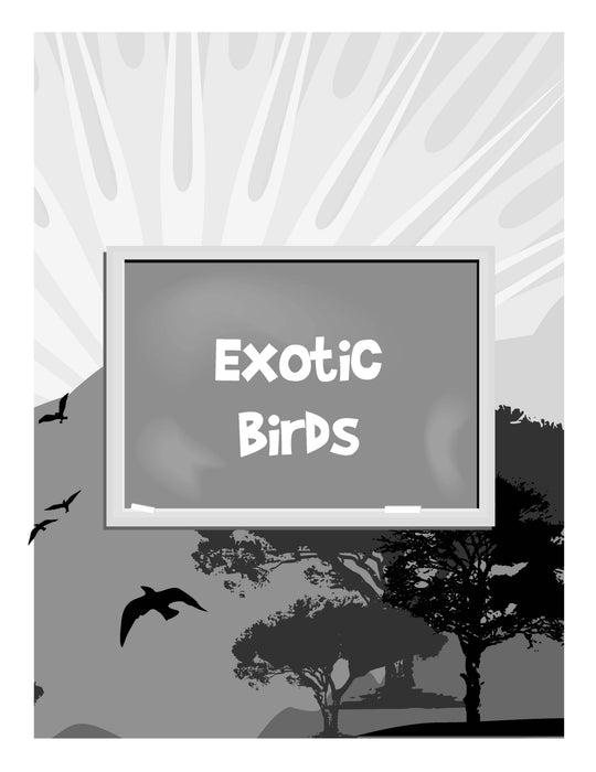 The Drawing Book for Kids: Exotic Birds - Step by Step with Space to Practice