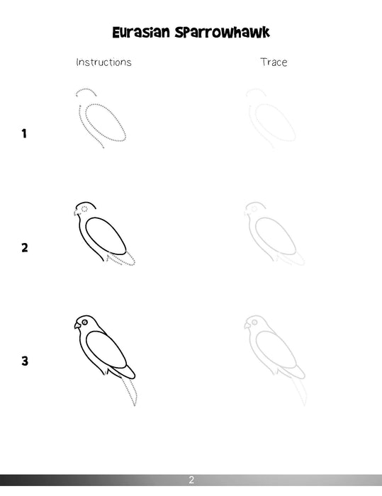 The Drawing Book for Kids: Exotic Birds - Step by Step with Space to Practice