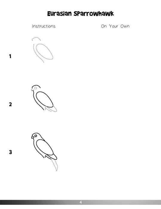 The Drawing Book for Kids: Exotic Birds - Step by Step with Space to Practice