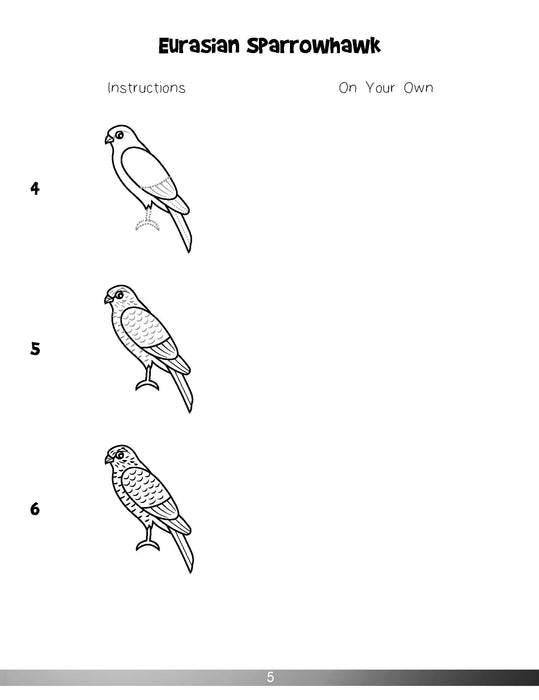 The Drawing Book for Kids: Exotic Birds - Step by Step with Space to Practice