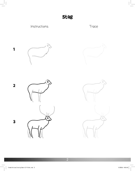 The Drawing Book for Kids: Forest Animals - Step by Step with Space to Practice