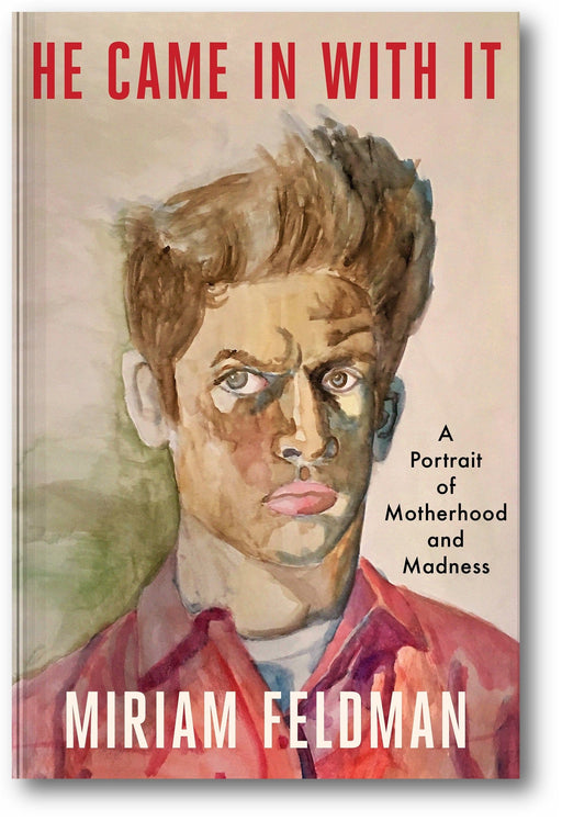 He Came In With It: A Portrait of Motherhood and Madness book cover