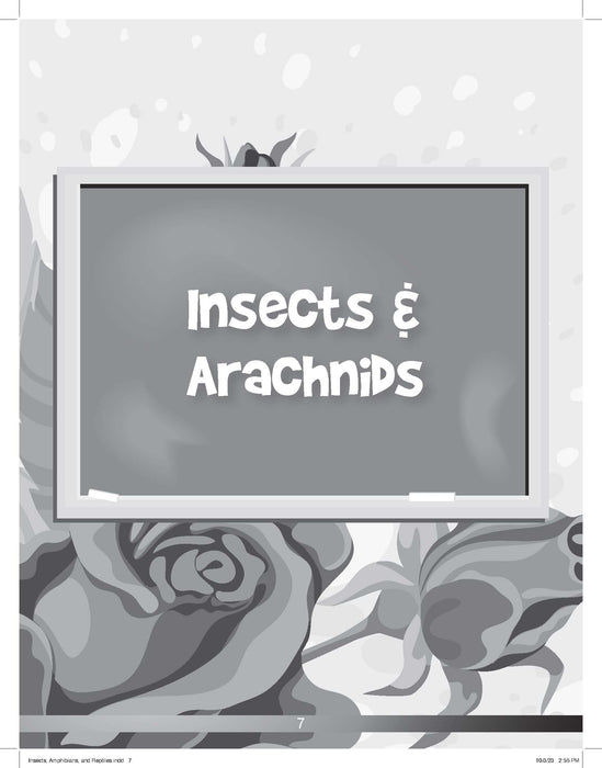 The Drawing Book for Kids: Insects - Step by Step with Space to Practice
