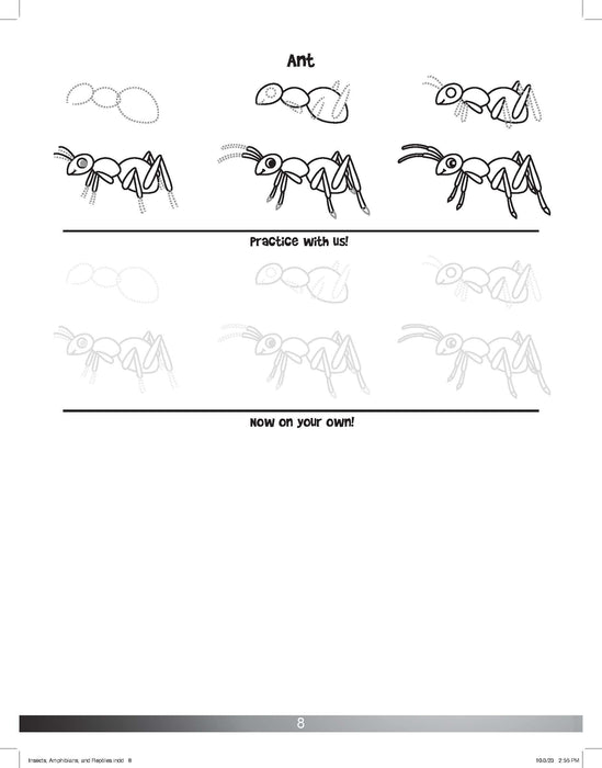 The Drawing Book for Kids: Insects - Step by Step with Space to Practice