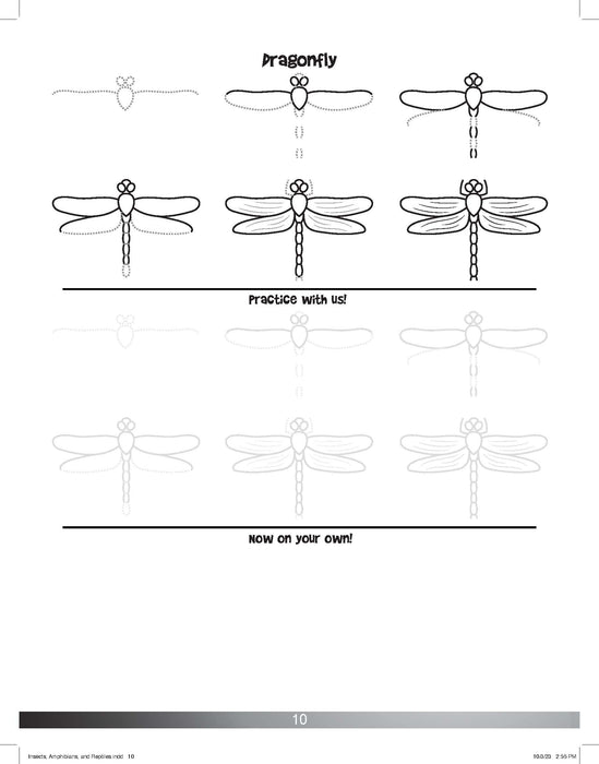 The Drawing Book for Kids: Insects - Step by Step with Space to Practice