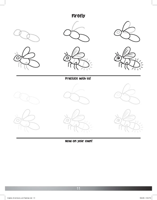 The Drawing Book for Kids: Insects - Step by Step with Space to Practice