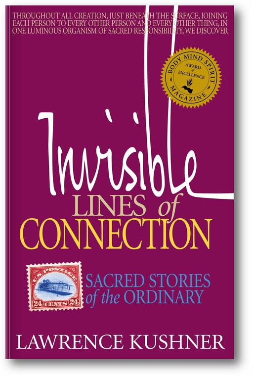 Invisible Lines of Connection: Sacred Stories of the Ordinary book cover
