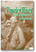Powder River: A History of the 91st Infantry Division in WWII book cover