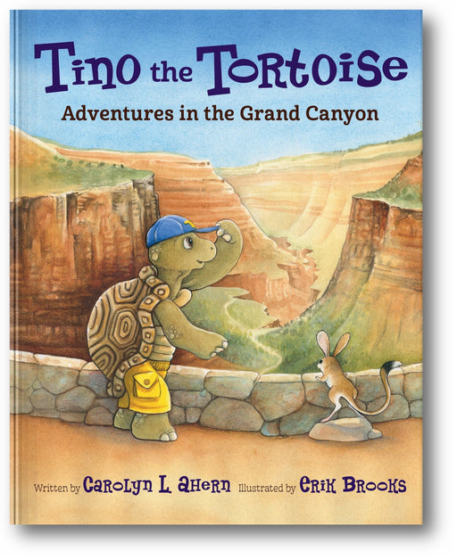 Tino the Tortoise book cover