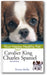 Cavalier King Charles Spaniel: Your Happy Healthy Pet (2nd Edition) book cover
