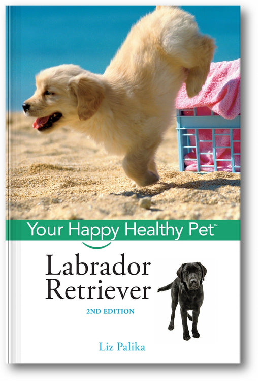 Labrador Retriever: Your Happy Healthy Pet (2nd Edition) book cover