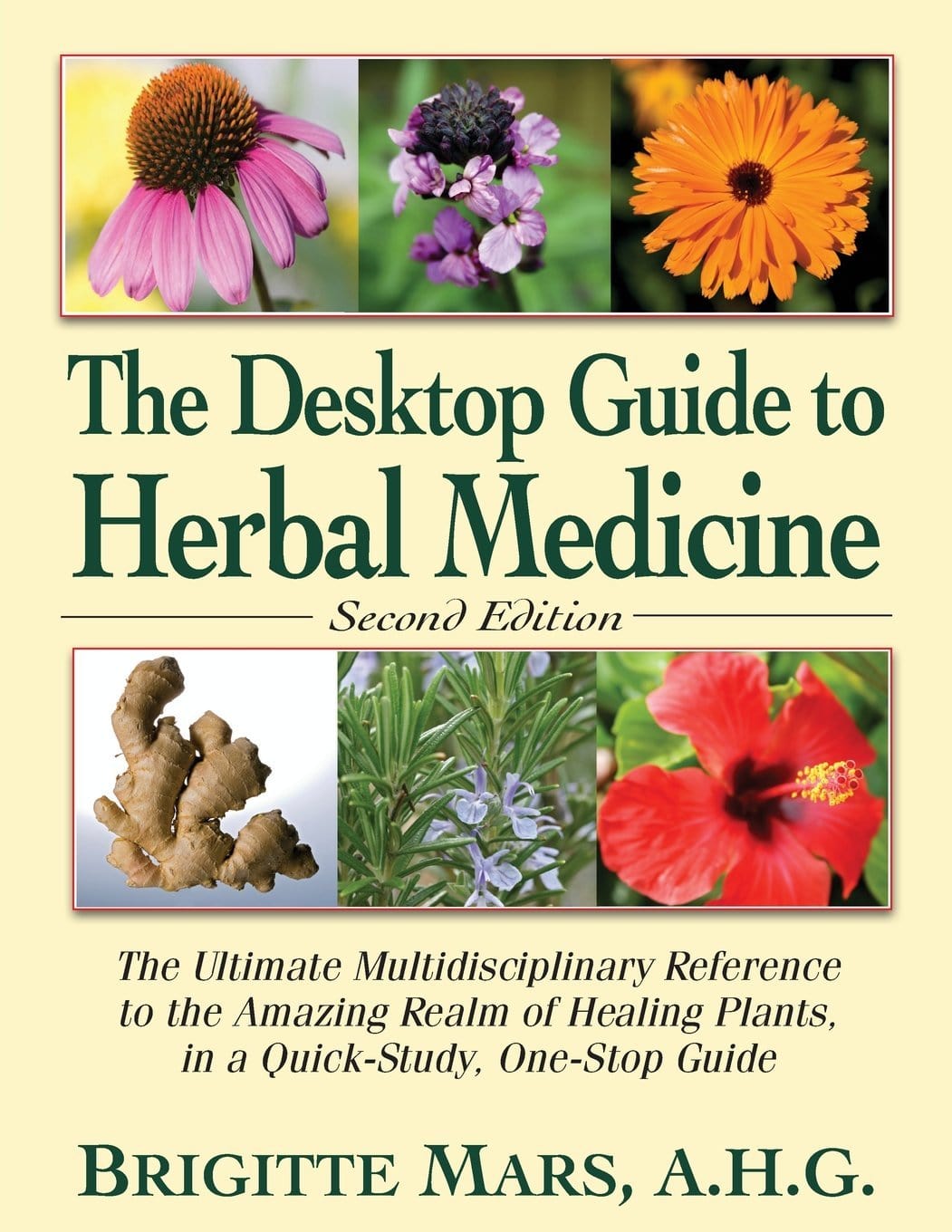 The Desktop Guide to Herbal Medicine: The Ultimate Multidisciplinary R —  Turner Publishing