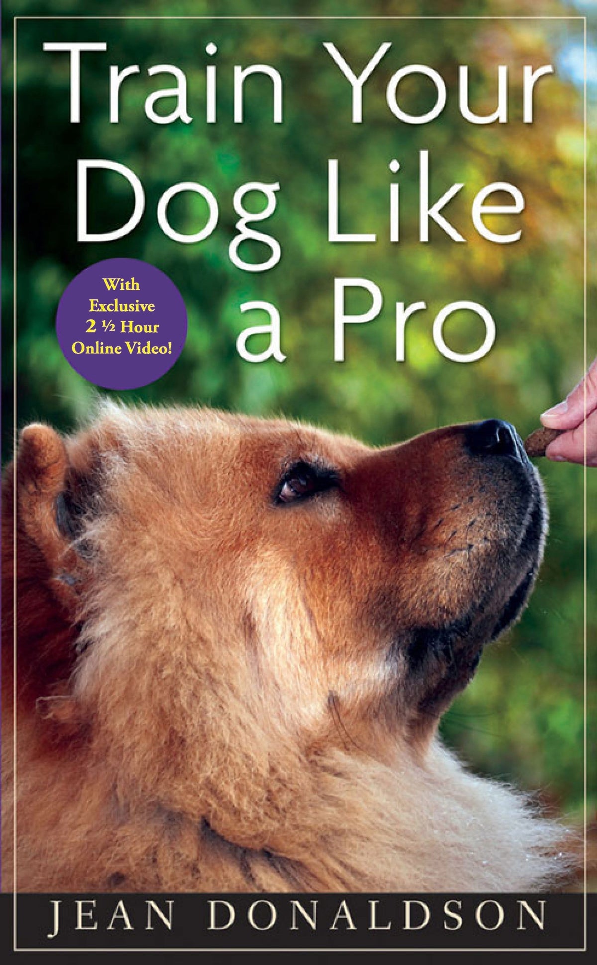 Train Your Dog Like a Pro — Turner Publishing - Main Image