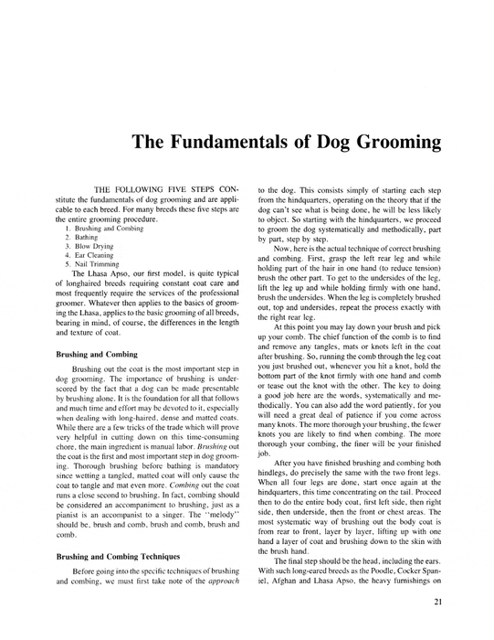 The stone guide to 2024 dog grooming for all breeds