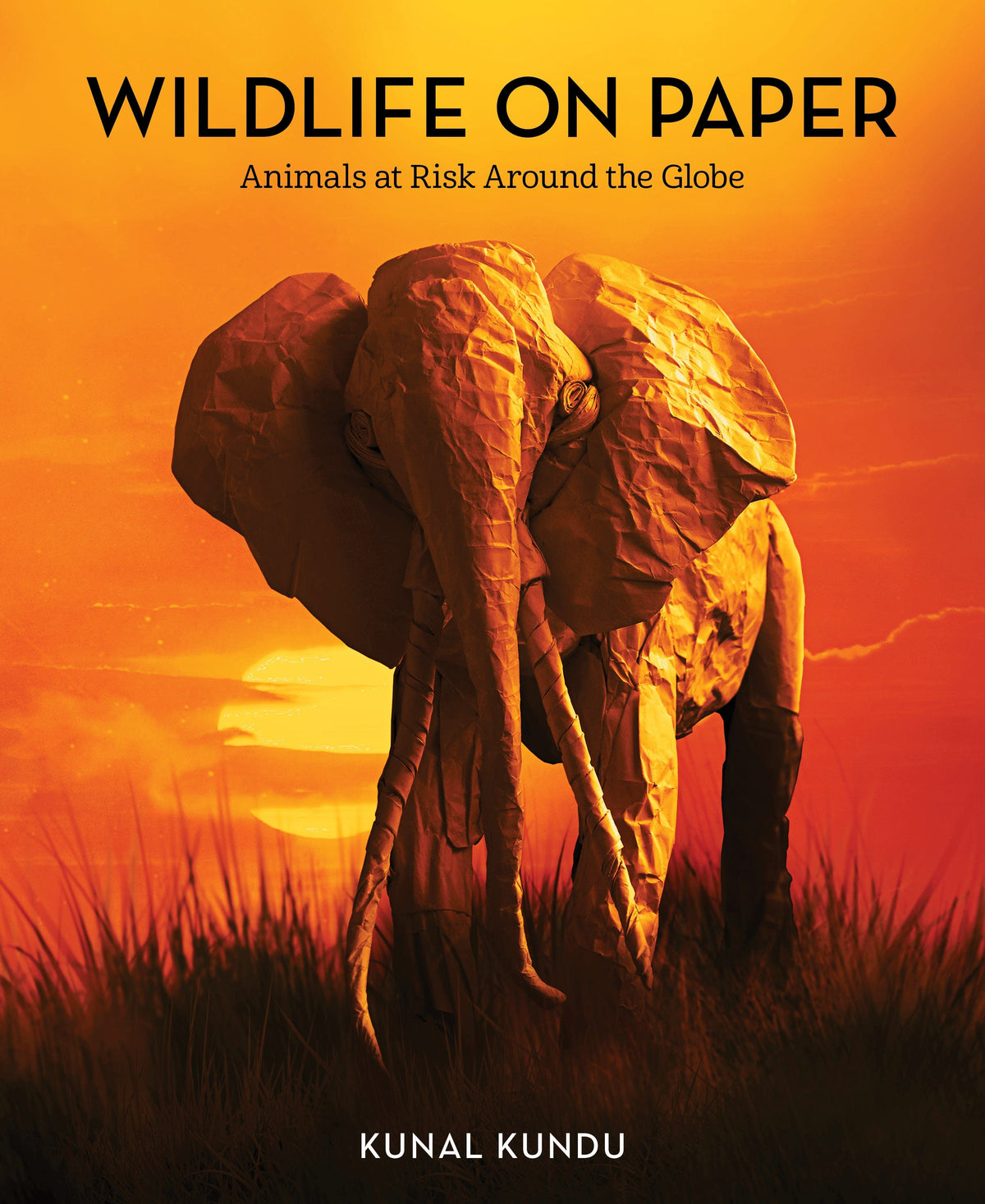 Wildlife on Paper: Animals at Risk Around the Globe — Turner Publishing