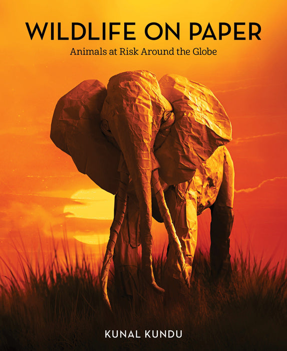 Wildlife on Paper: Animals at Risk Around the Globe
