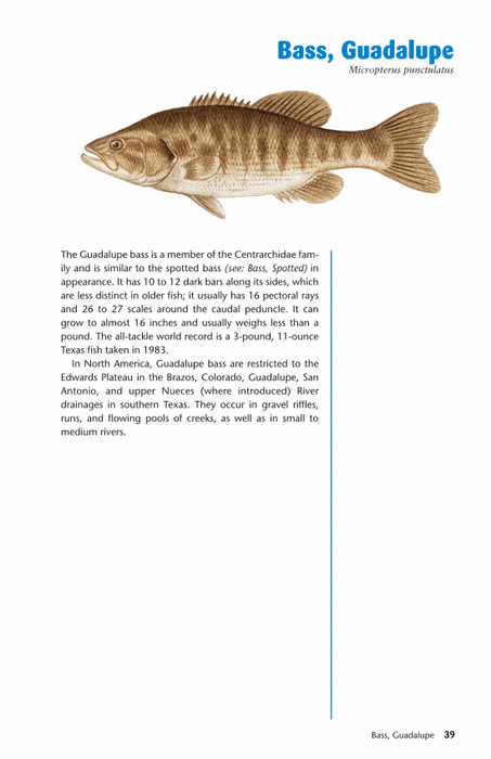 Ken Schultz's Fishing Encyclopedia: Schultz, Ken: 9780028620572
