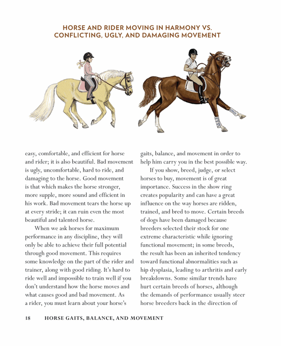 Horse Gaits, Balance, and Movement: Revised Edition