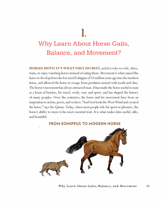 Horse Gaits, Balance, and Movement: Revised Edition