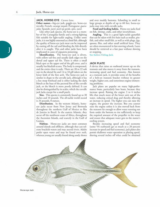 Ken Schultz's Fishing Encyclopedia Volume 4: Worldwide Angling Guide ( —  Turner Publishing