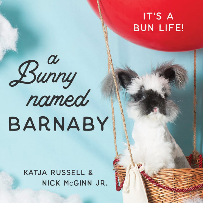 A Bunny Named Barnaby: It's a Bun Life